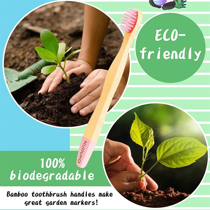 71ZYEYsk5SL._AC_SL1500_